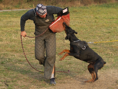 Training in Prague - defence - 10/2006